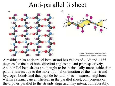 Determinants of strand register in antiparallel beta.